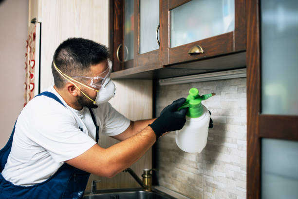 Best Emergency Pest Control  in Red Oaks Mill, NY
