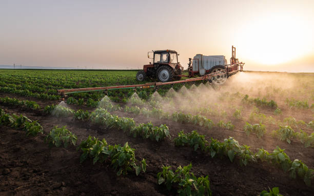 Best Pest Removal Services  in Red Oaks Mill, NY