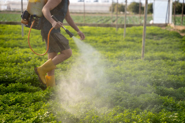 Best Residential Pest Control  in Red Oaks Mill, NY