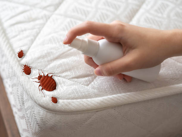 Best Pest Control Near Me in Red Oaks Mill, NY