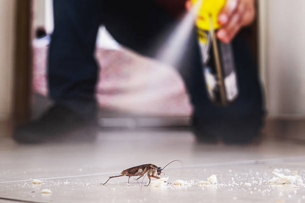 Best Mosquito Control Services  in Red Oaks Mill, NY